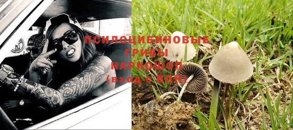 МДМА Богданович