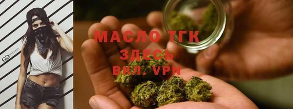 шишки Богородицк