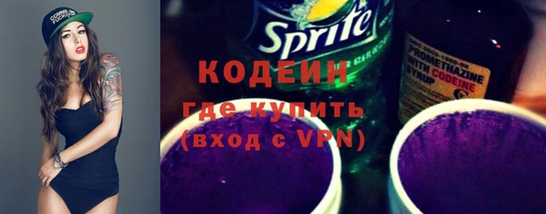 шишки Богородицк