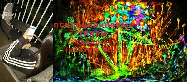 МДМА Богданович