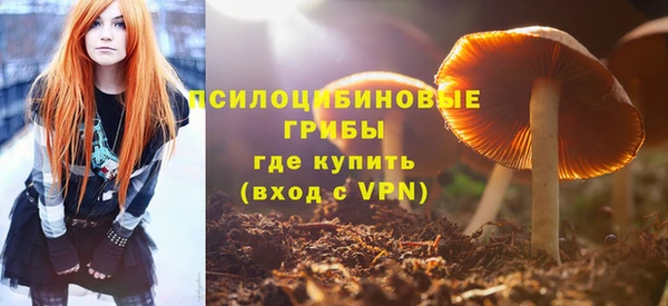 скорость Бородино