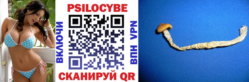 как найти закладки  кракен как войти  Галлюциногенные грибы MAGIC MUSHROOMS  Гремячинск 